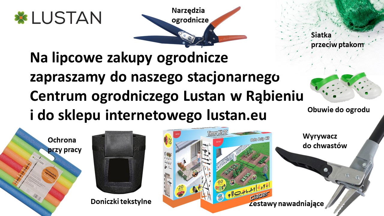 Lipiec w ogrodzie - zapraszamy na zakupy