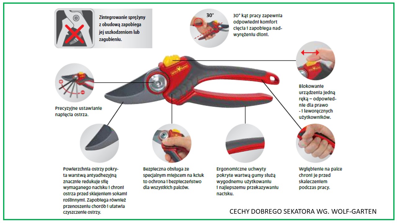 dobry sekator - na co zwrócić uwagę?