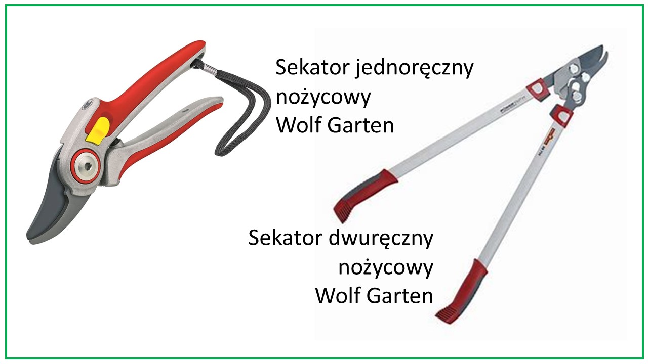 Sekator ogrodniczy - jednoręczny czy dwuręczny?