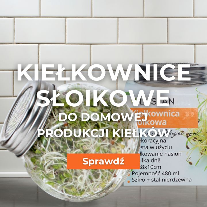 Kiełkownice słoikowe Lustan - do domowej produkcji kiełków, w zestawie 3 szt. - taniej!